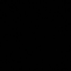 Meet your Posher, Josephine